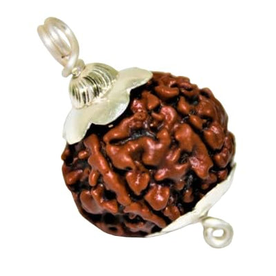 5 Mukhi Rudraksha Pendant – Natural Bead for Mind, Body & Soul Balance