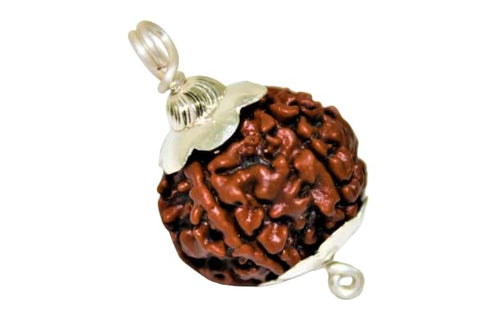 5 Mukhi Rudraksha Pendant – Natural Bead for Mind, Body & Soul Balance